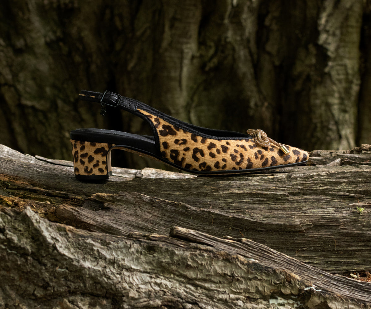 Call of the Wild