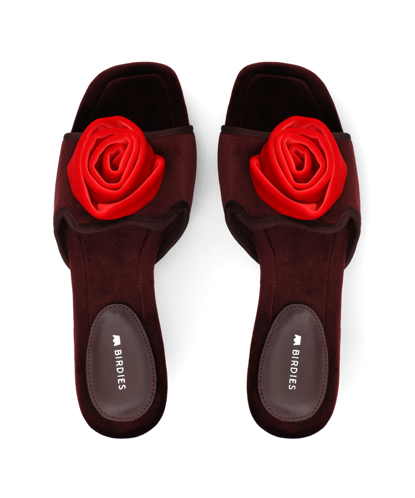 The Kiwi Kitten Flower - Burgundy Velvet