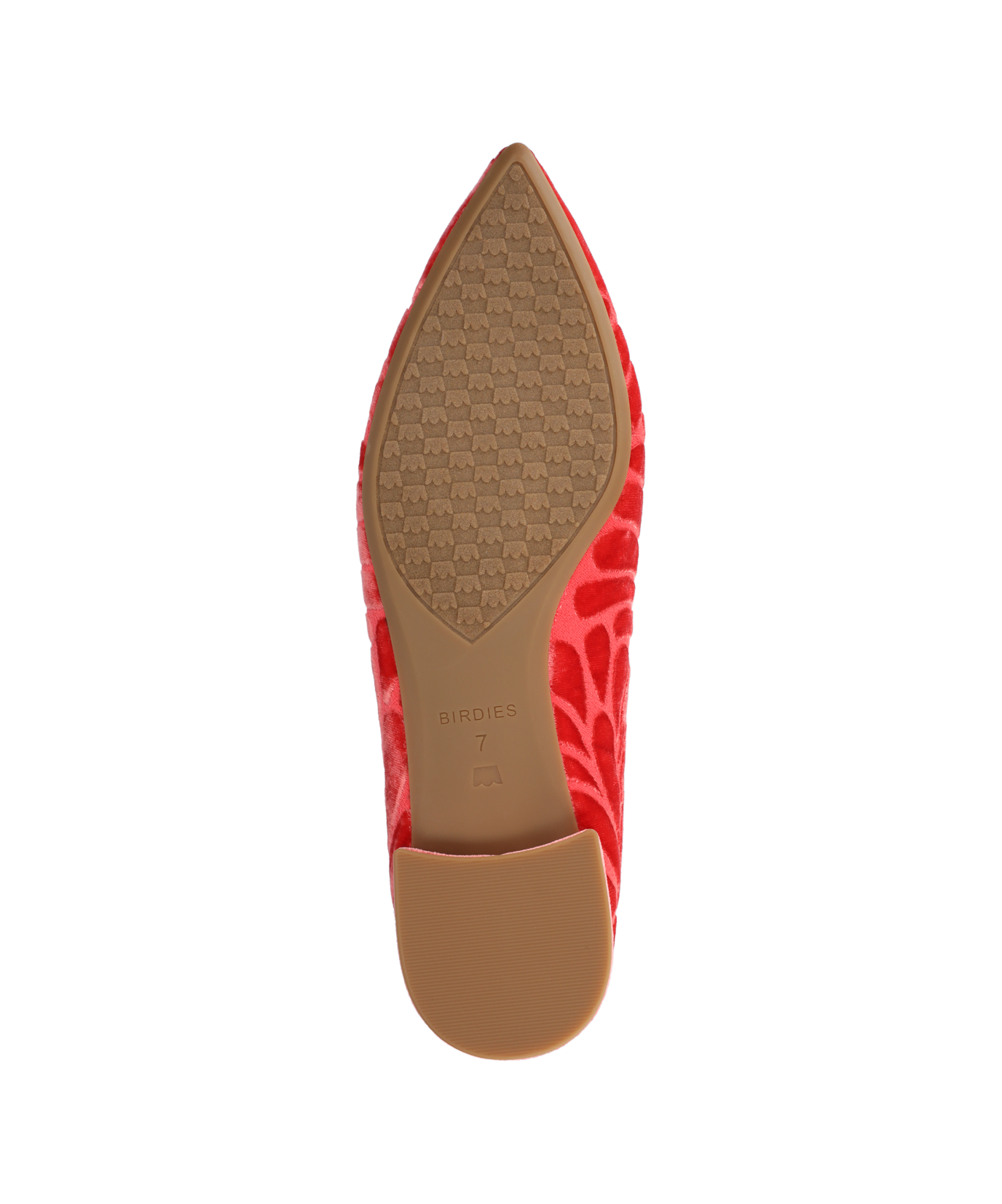 The Starfinch 15 Embroidery - Flame Velvet