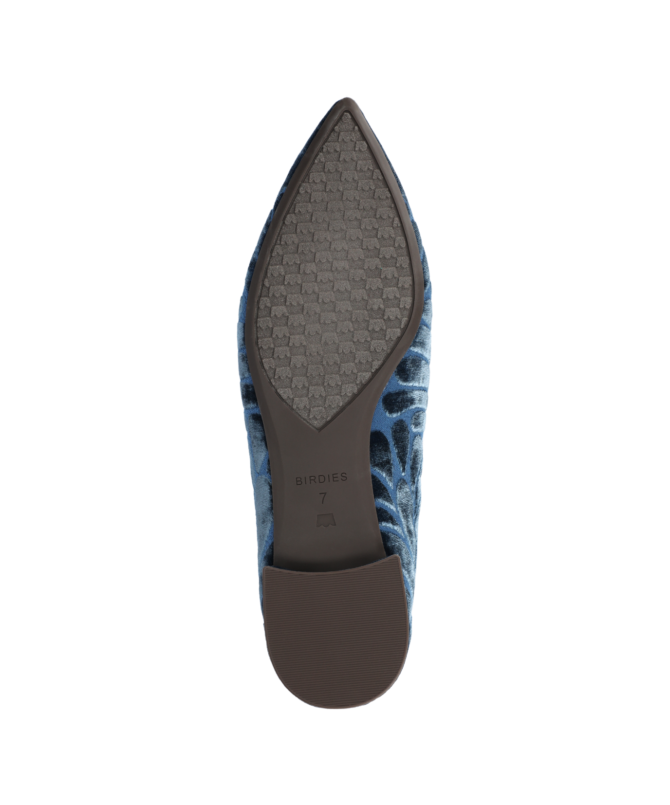 The Starfinch 15 Embroidery - Ocean Velvet