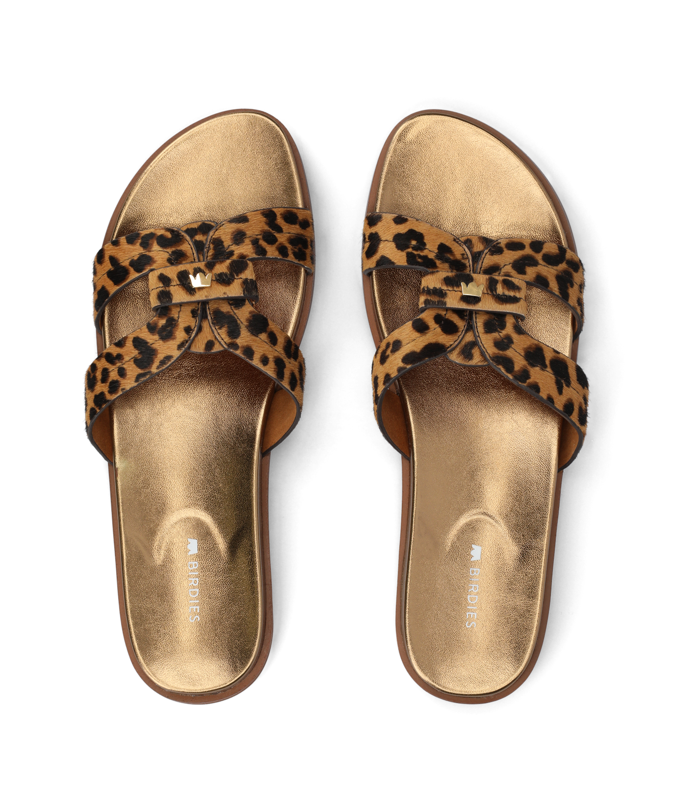 The Sunbird Icon - Leopardprint Haircalf