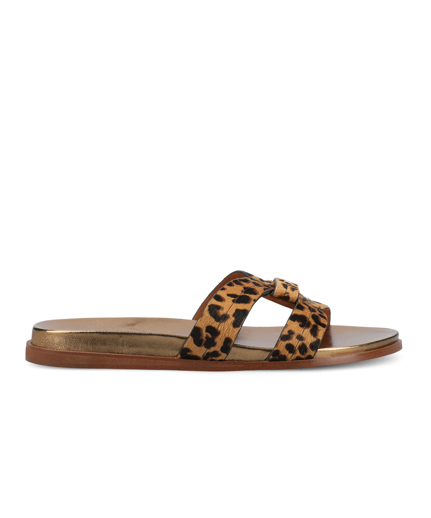 The Sunbird Icon - Leopardprint Haircalf