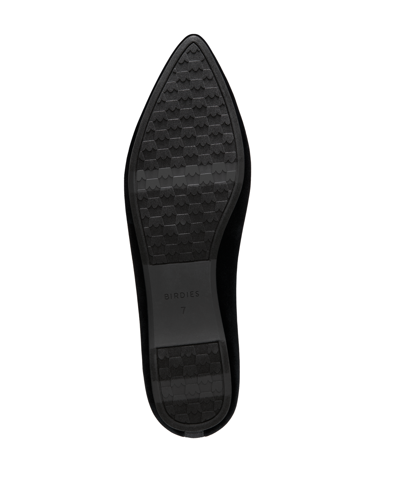 bottom view of the sparrow in black velvet