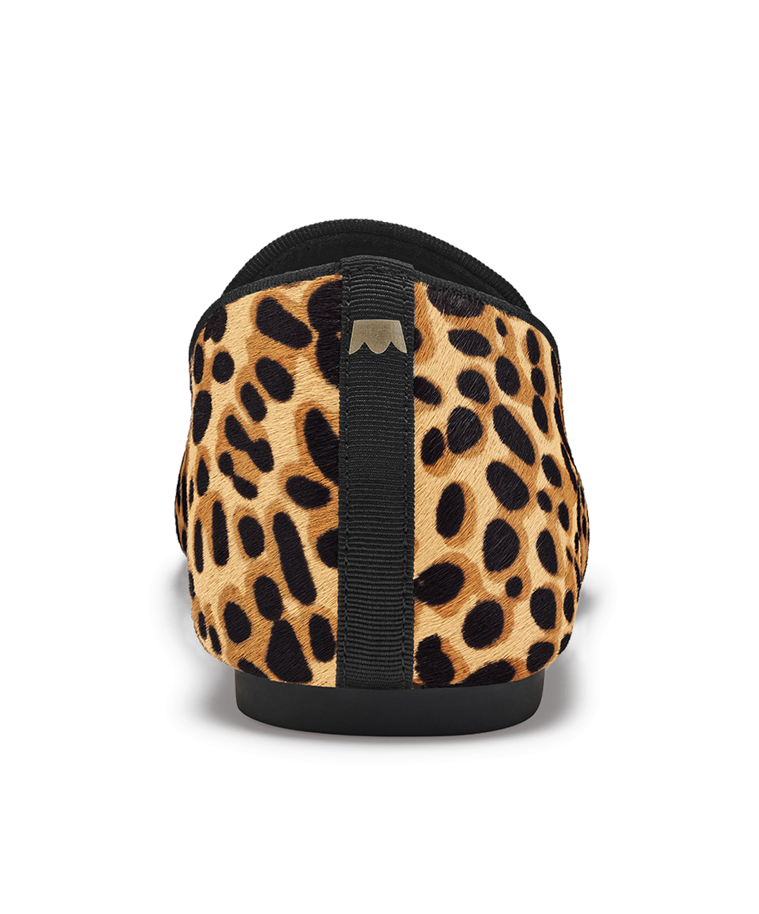 The Starling - Cheetah