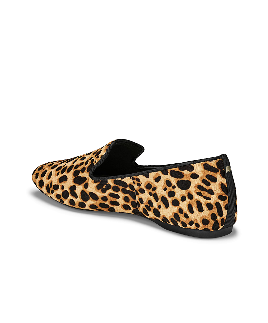 The Starling - Cheetah