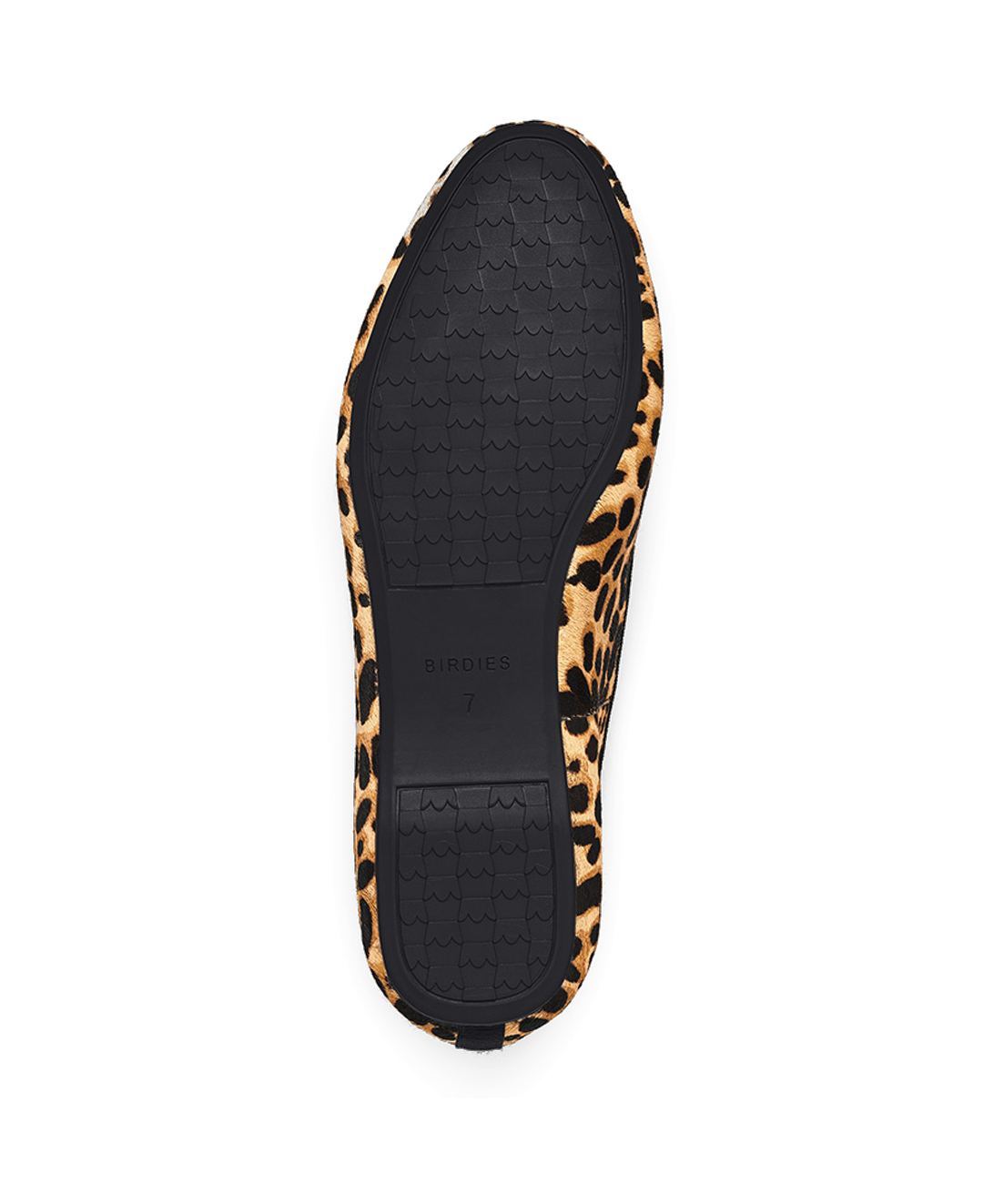 The Starling - Cheetah