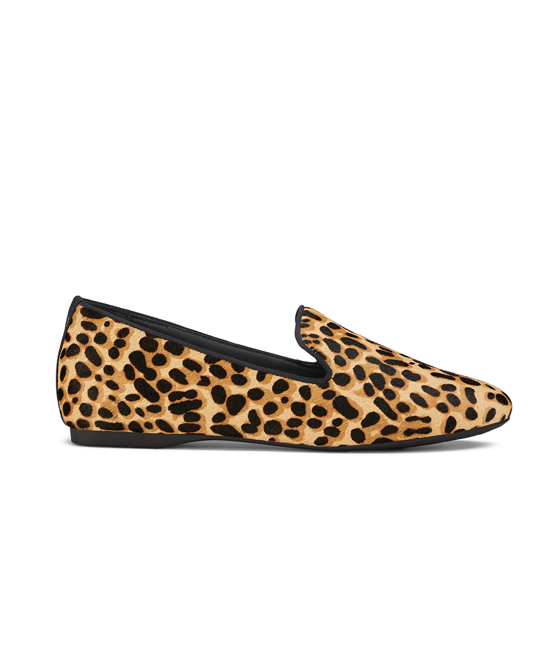 The Starling - Cheetah