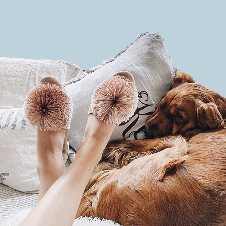 A Birdies team member  lounging in her light pink Songbird slides with her dog sleeping beside her