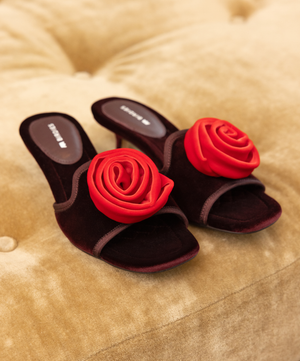 The Kiwi Kitten Flower - Burgundy Velvet