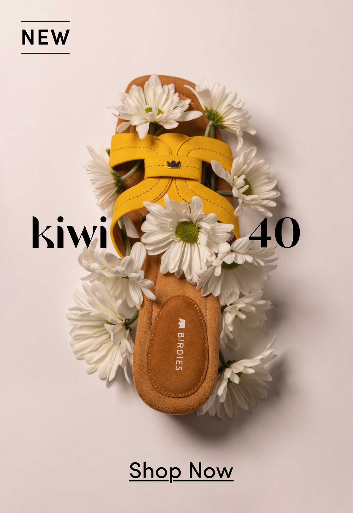 Birdies PLP 4 7 Sundrenched Desktop 1