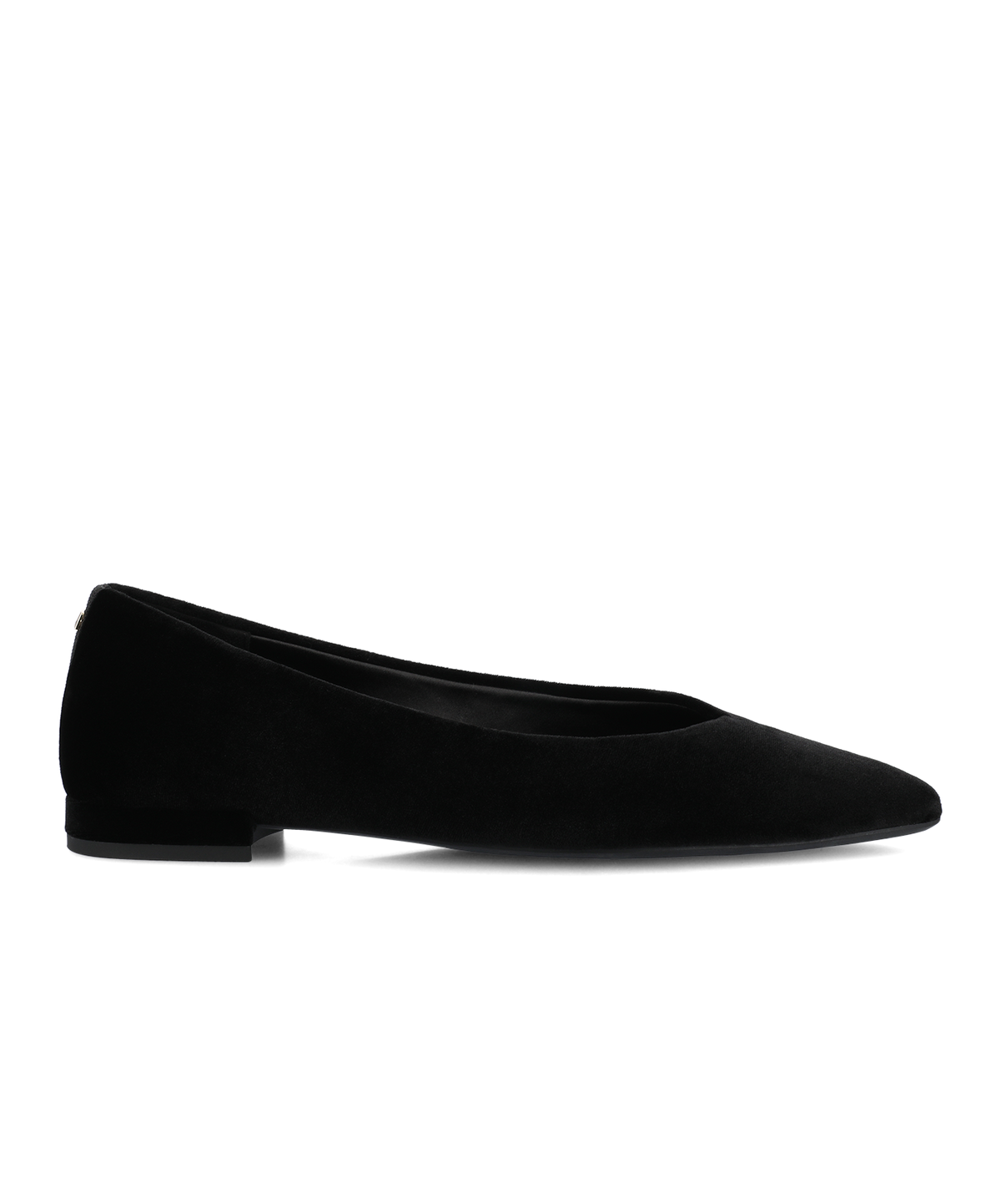 The New Goldfinch 15 - Black Velvet