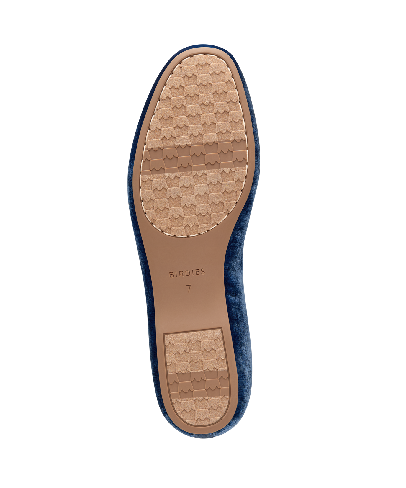 bottom view of the hummingbird in ocean velvet bow