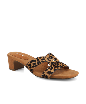 The Kiwi 40 Icon - Leopard Haircalf