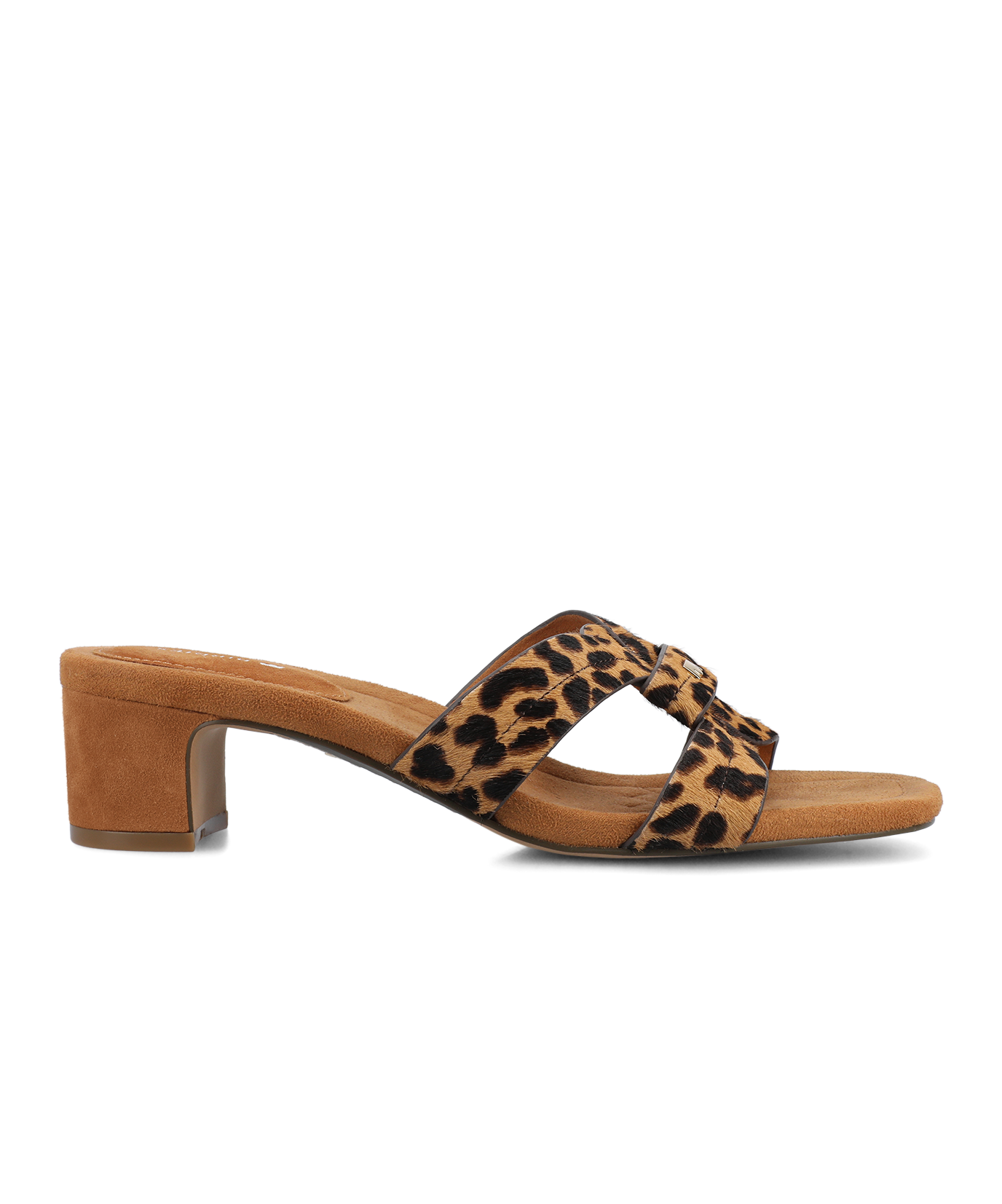 The Kiwi 40 Icon - Leopard Haircalf