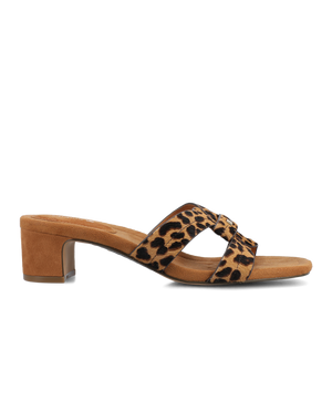The Kiwi 40 Icon - Leopard Haircalf