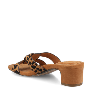 The Kiwi 40 Icon - Leopard Haircalf