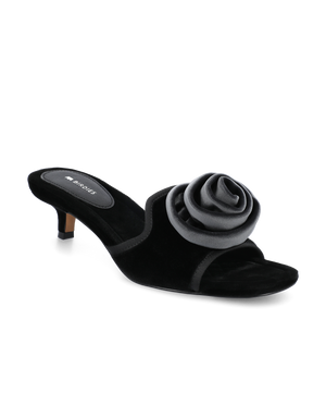 The Kiwi Kitten Flower - Black Velvet