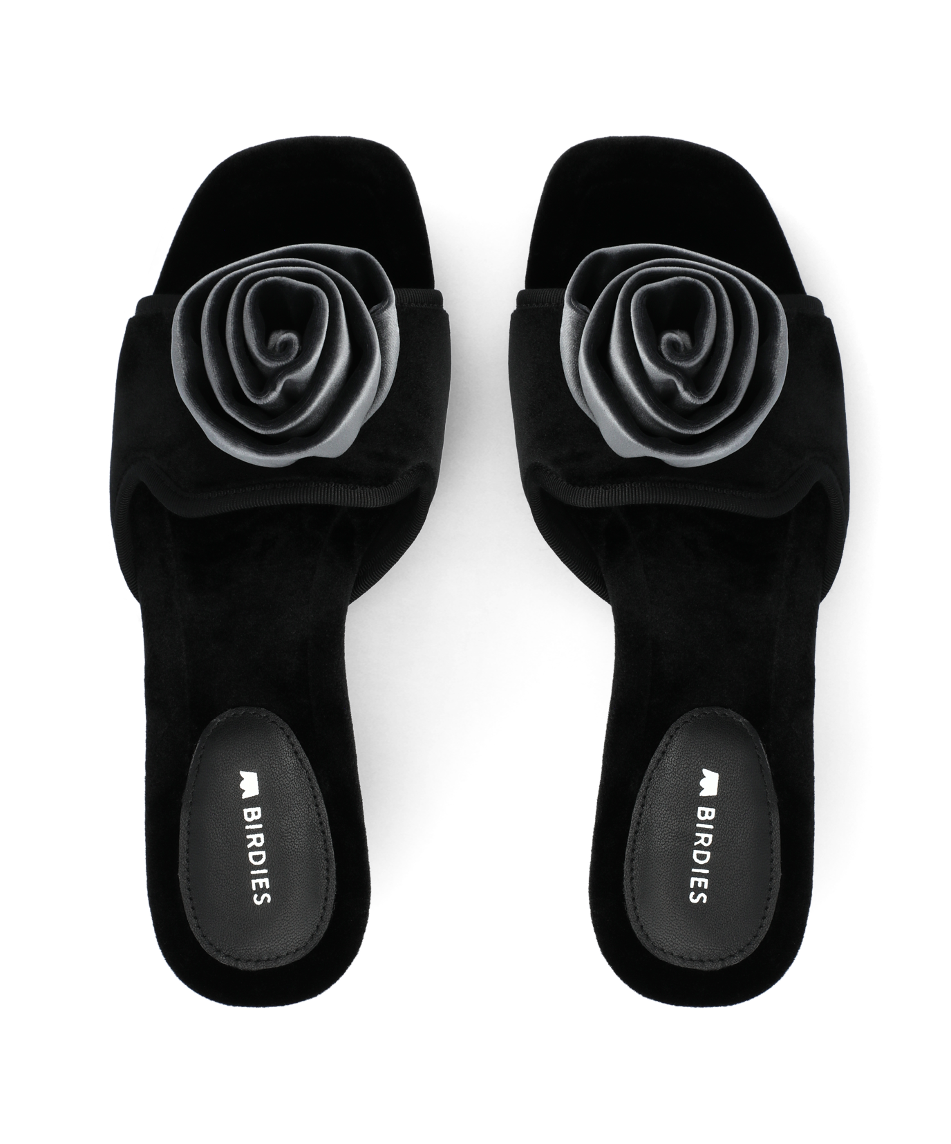 The Kiwi Kitten Flower - Black Velvet