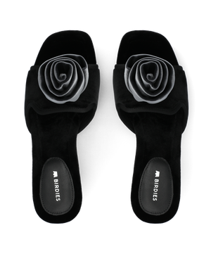 The Kiwi Kitten Flower - Black Velvet