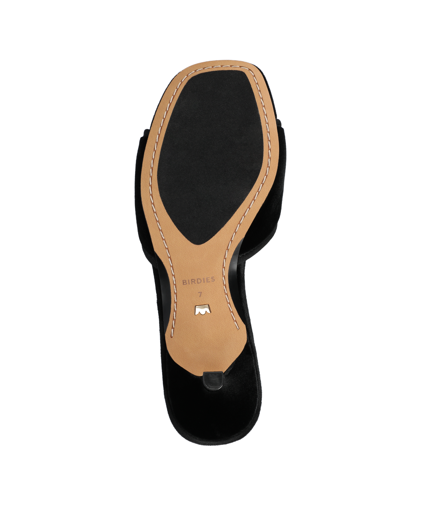 The Kiwi Kitten Flower - Black Velvet