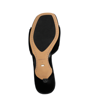 The Kiwi Kitten Flower - Black Velvet