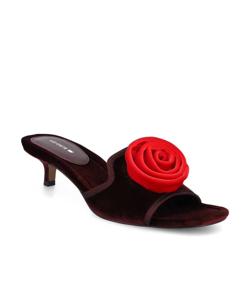 The Kiwi Kitten Flower - Burgundy Velvet