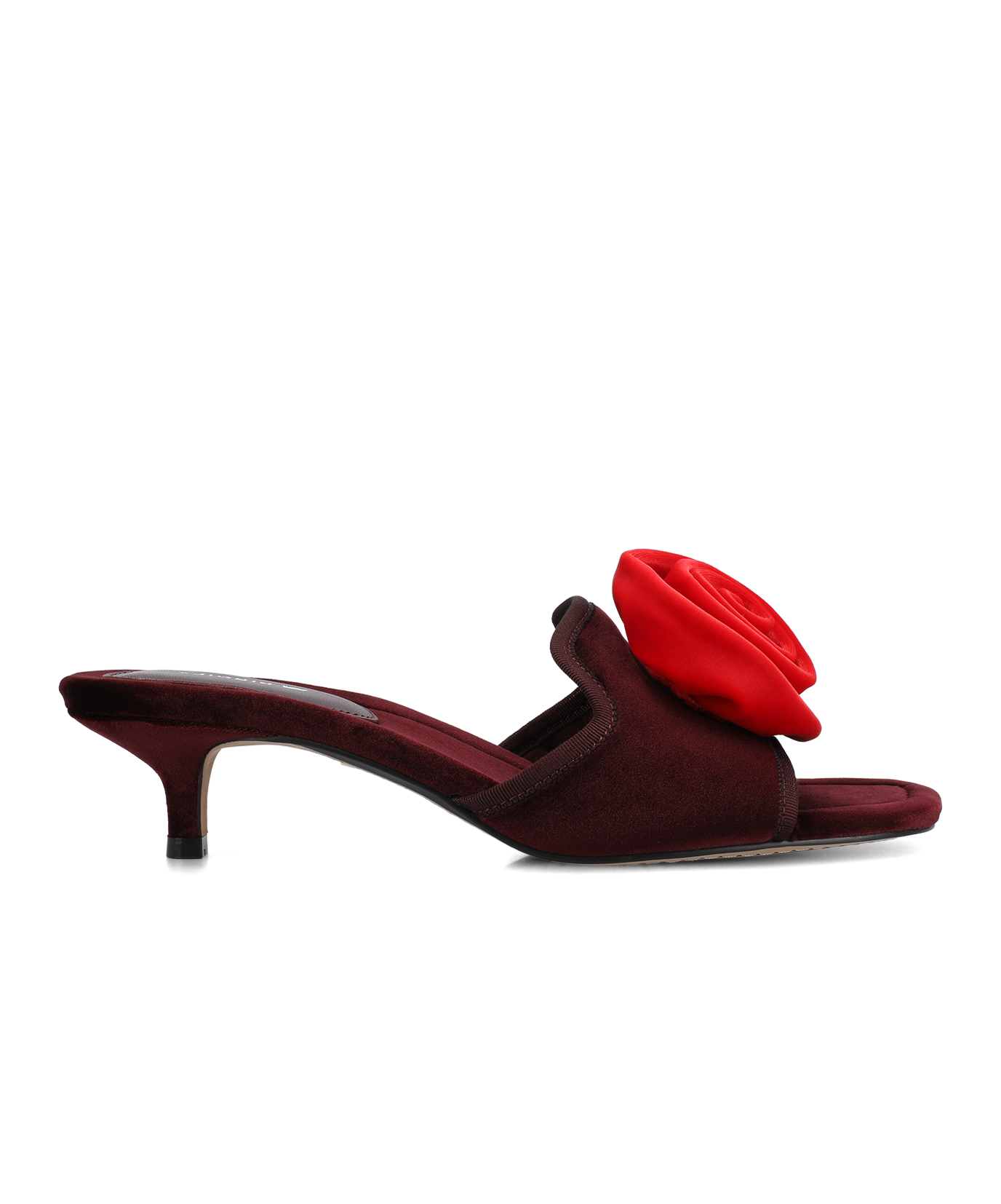 The Kiwi Kitten Flower - Burgundy Velvet