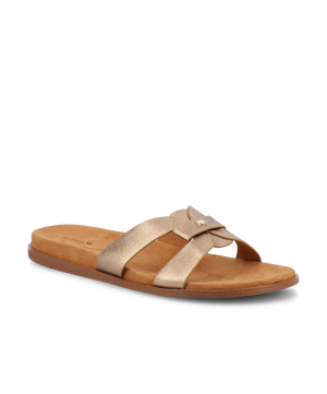 The Sunbird Icon - Gold Leather