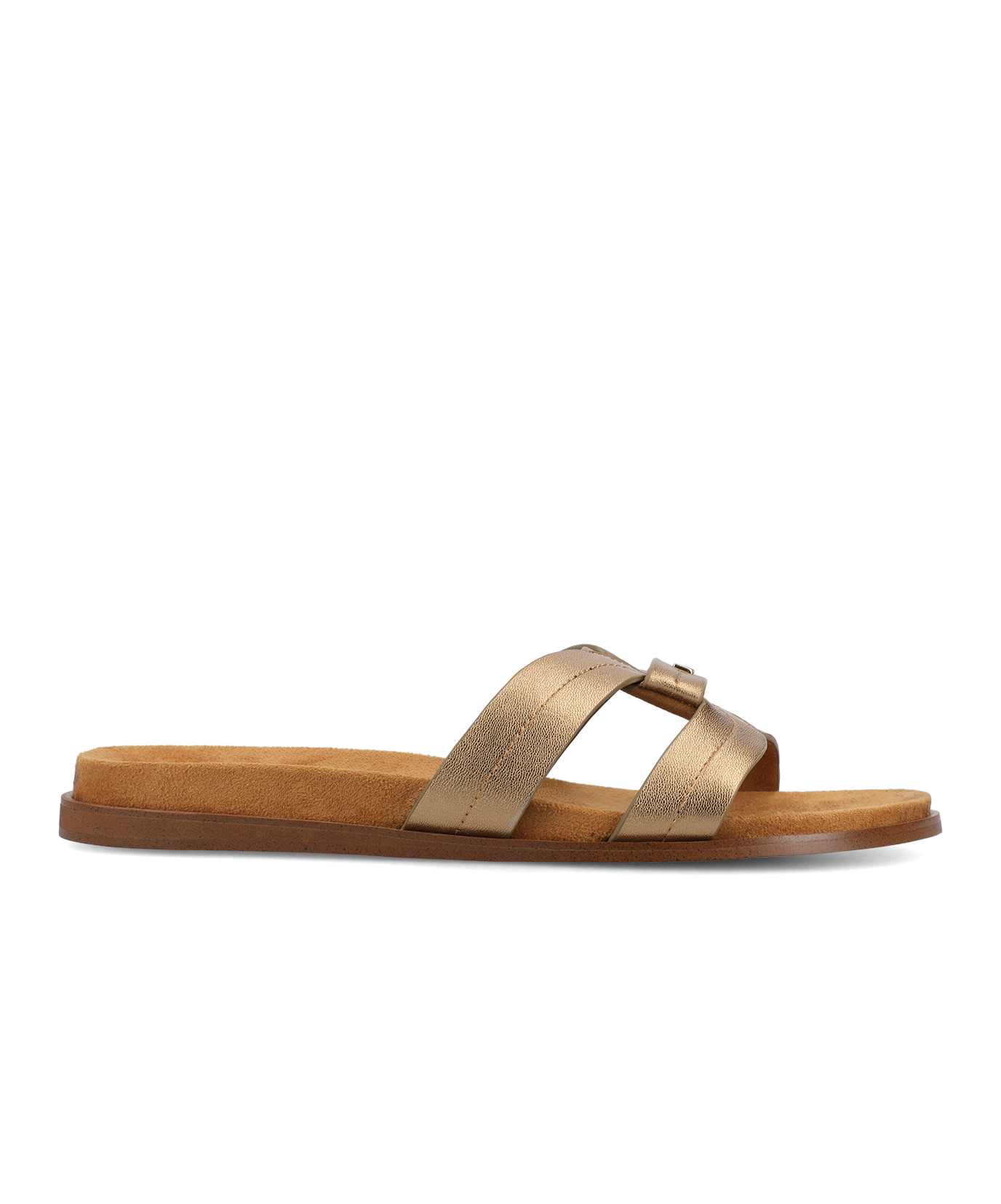 The Sunbird Icon - Gold Leather