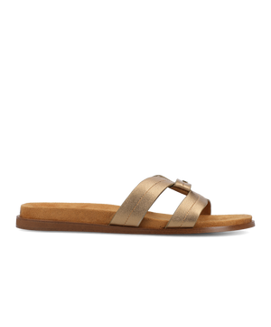The Sunbird Icon - Gold Leather