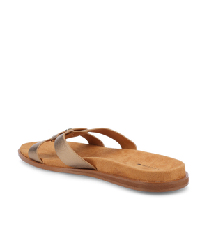 The Sunbird Icon - Gold Leather