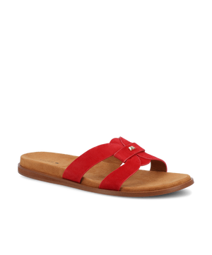 The Sunbird Icon - Red Suede