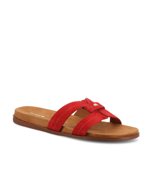 The Sunbird Icon - Red Suede
