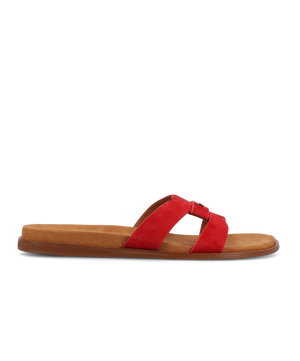 The Sunbird Icon - Red Suede