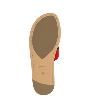 The Sunbird Icon - Red Suede