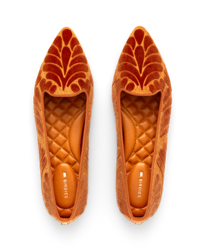 hover | top view of the Sparrow Loafer in Marigold (orange) Velvet Embroidery