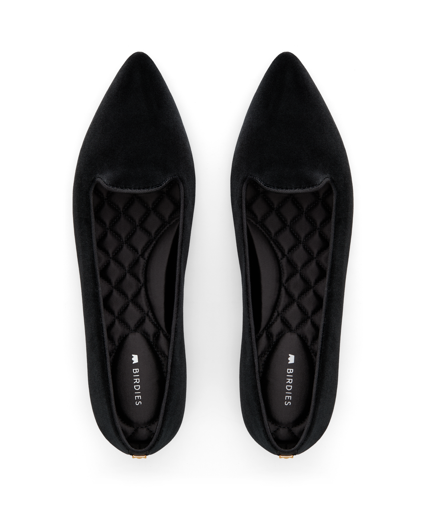hover | top view of the sparrow in black velvet