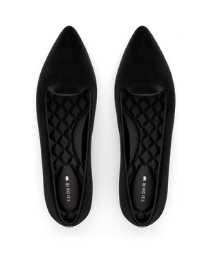 hover | top view of the sparrow in black velvet