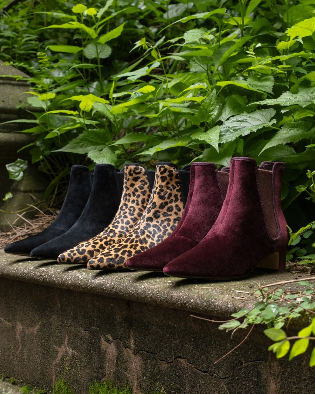 Four pointed-toe ankle boots lined up on a stone ledge outdoors, surrounded by green foliage. The boots include a dark navy suede, a tan leopard print suede, and two deep burgundy suede styles.